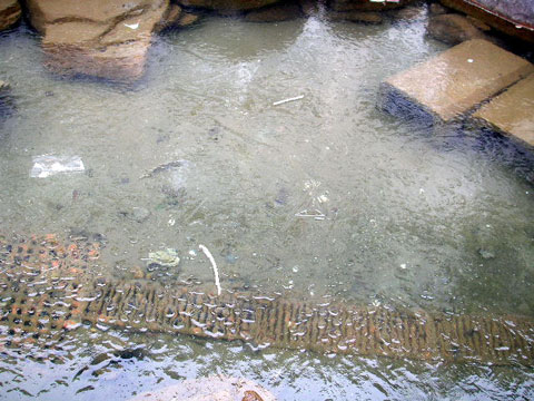 表面が凍った池